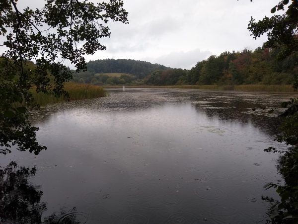 Hagstaffel-Pond