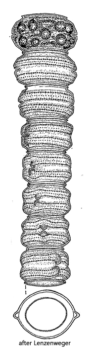Desmidium-grevillei