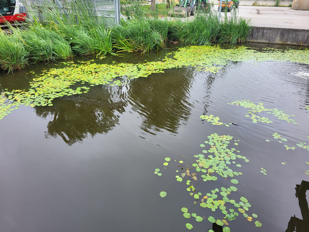 Pond of the waste disposal company Constance, Jul. 2025