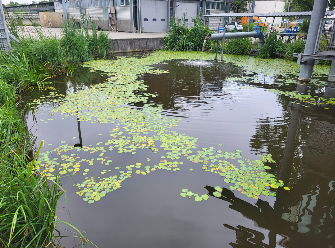 Pond of the waste disposal company Constance, Jul. 2025