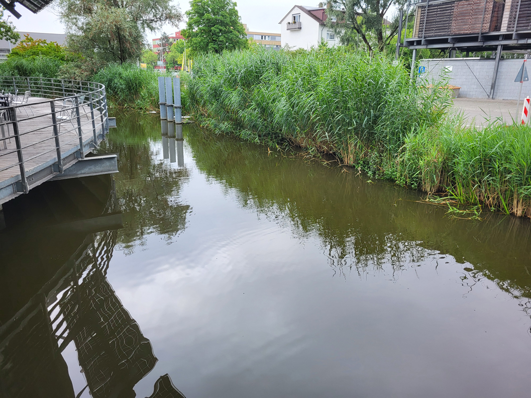 Pond of the waste disposal company Constance, Jul. 2025