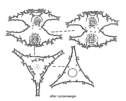 Staurastrum-suchlandtianum