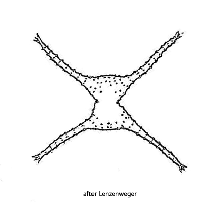 Staurastrum-chaetoceras