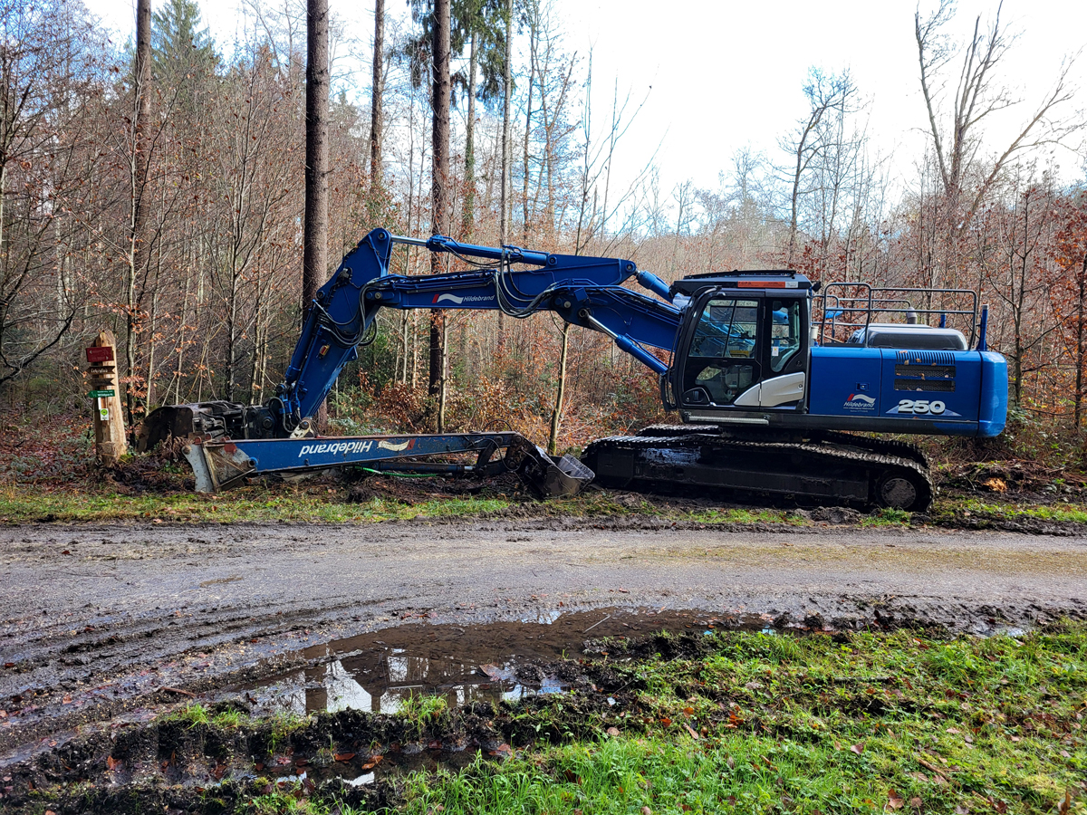 Simmmelried, Nov. 2025