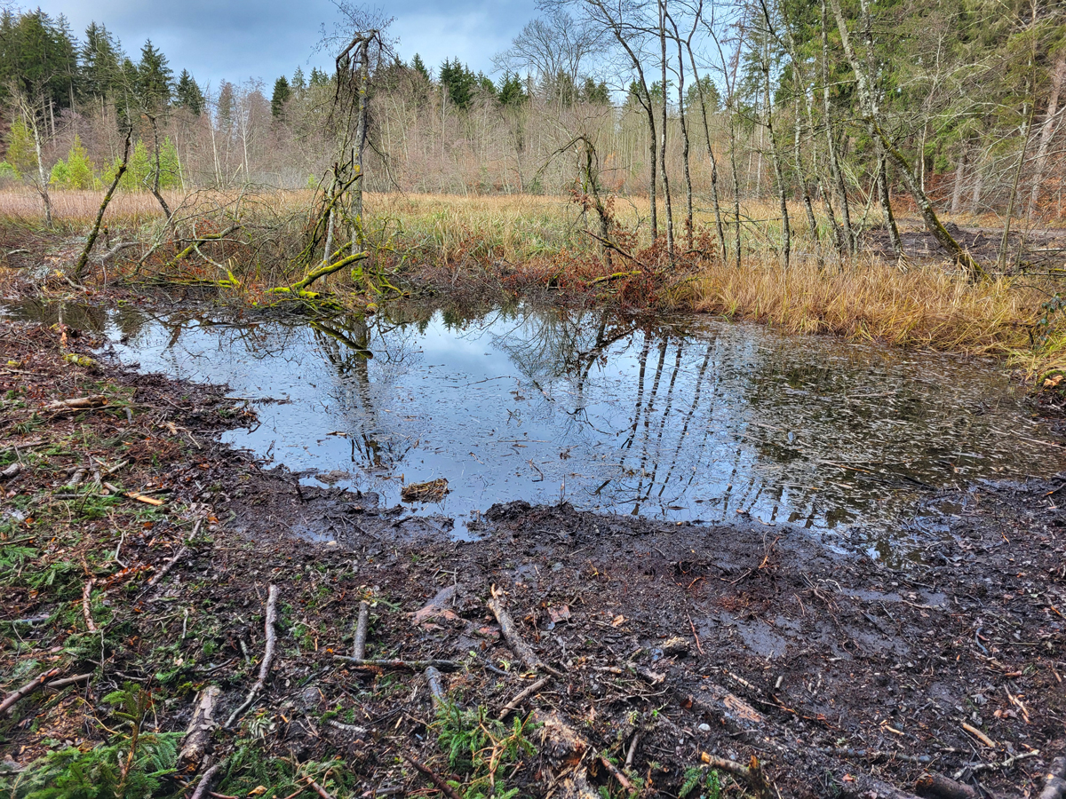 Simmelried, Jan. 2026