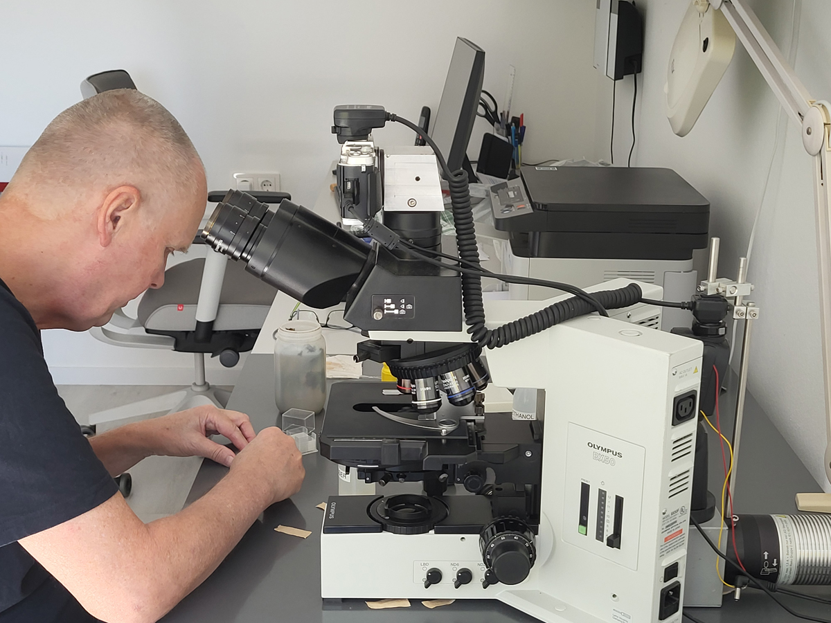 Dr. Martin Kreutz