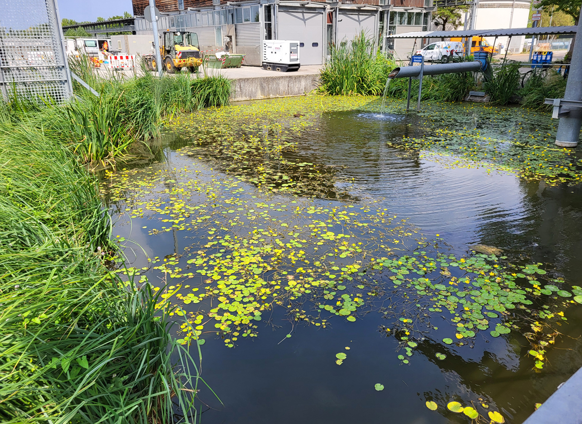 Pond of waste disposal company Constance, Aug. 2026