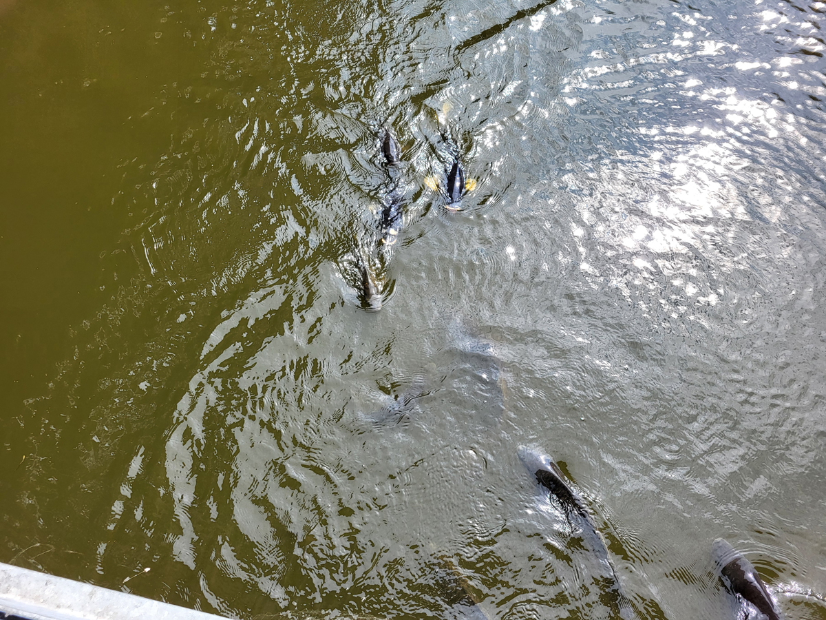Pond of waste disposal company Constance, Aug. 2026