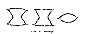 Staurodesmus-boergesenii